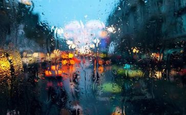 清明的雨作文精选5篇