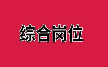 综合岗工作计划推荐6篇